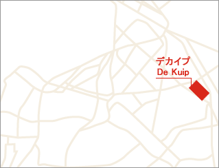 フェイエノールト