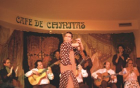JtFEfE`j[^XiCAFE DE CHINITASjł̃tRӏ܂̃C[W